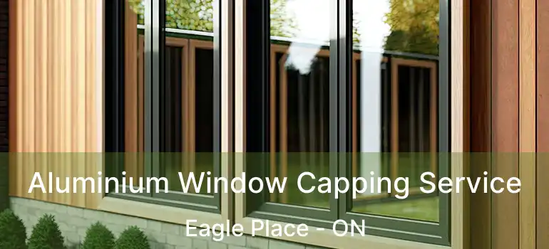  Aluminium Window Capping Service Eagle Place - ON