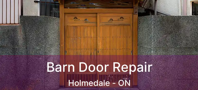  Barn Door Repair Holmedale - ON