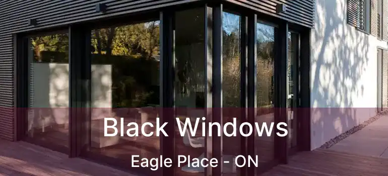  Black Windows Eagle Place - ON