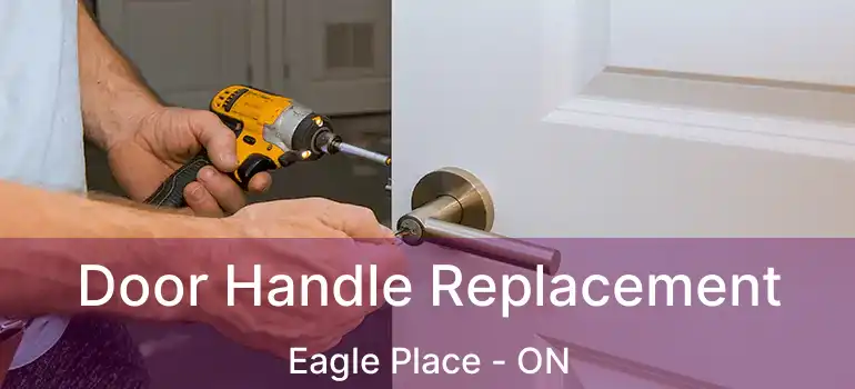  Door Handle Replacement Eagle Place - ON
