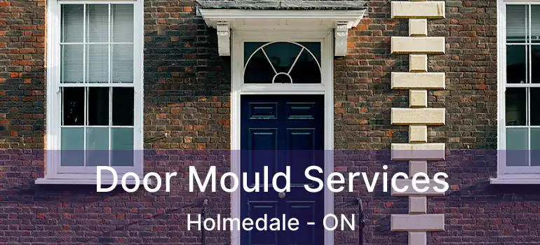  Door Mould Services Holmedale - ON