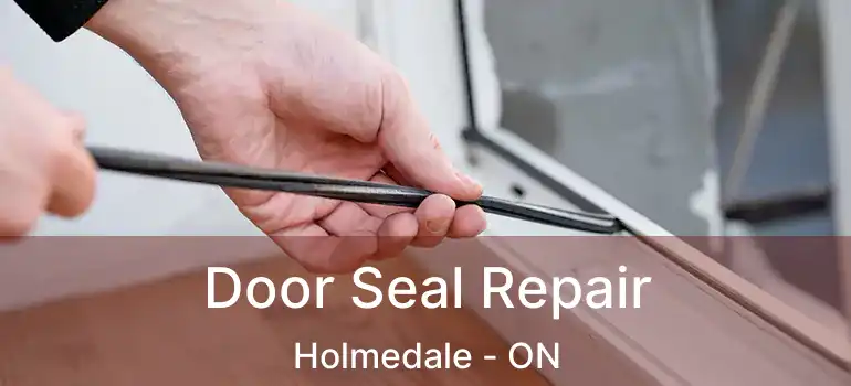  Door Seal Repair Holmedale - ON