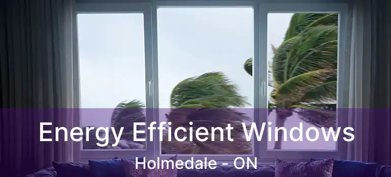  Energy Efficient Windows Holmedale - ON