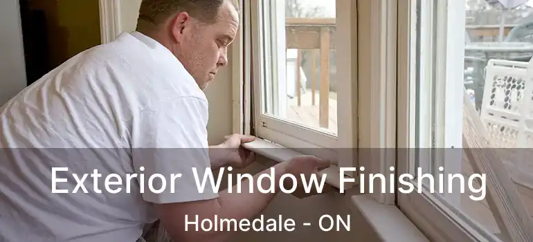  Exterior Window Finishing Holmedale - ON