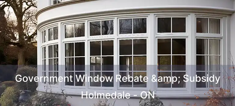  Government Window Rebate & Subsidy Holmedale - ON