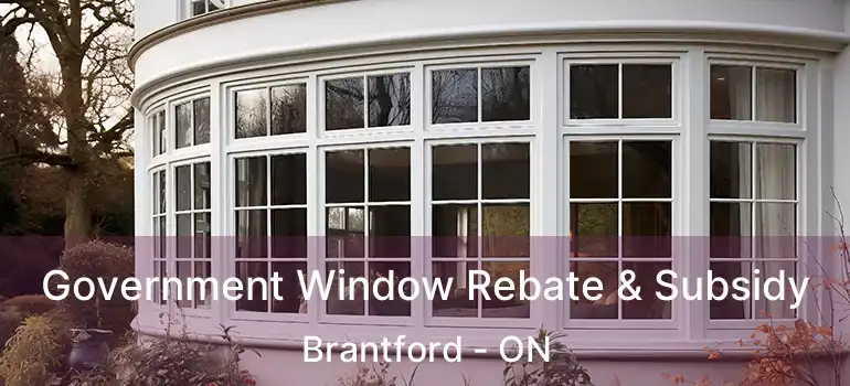  Government Window Rebate & Subsidy Brantford - ON