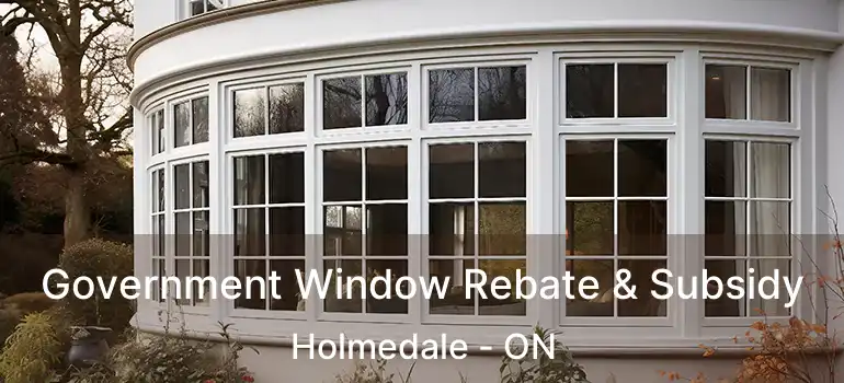  Government Window Rebate & Subsidy Holmedale - ON