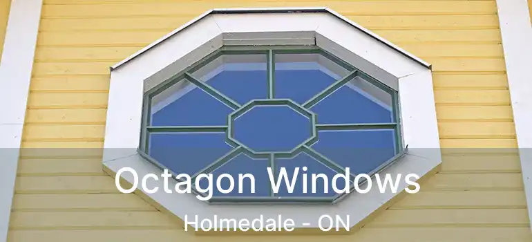  Octagon Windows Holmedale - ON