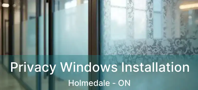  Privacy Windows Installation Holmedale - ON