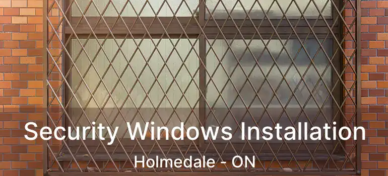  Security Windows Installation Holmedale - ON