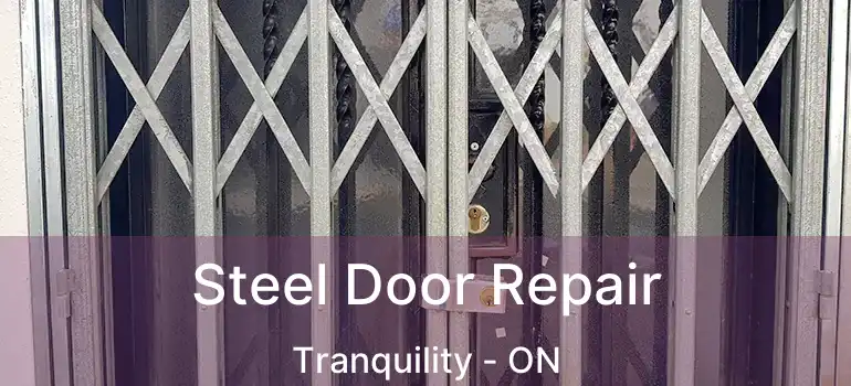  Steel Door Repair Tranquility - ON
