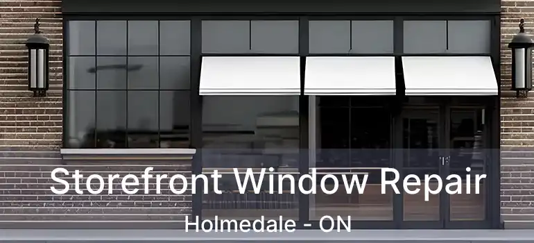  Storefront Window Repair Holmedale - ON