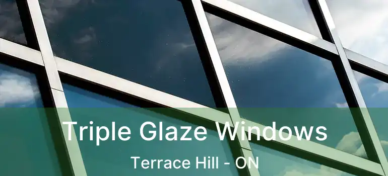  Triple Glaze Windows Terrace Hill - ON