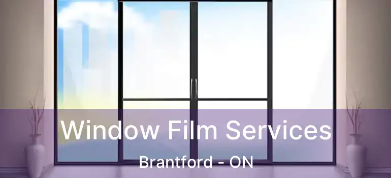  Window Film Services Brantford - ON