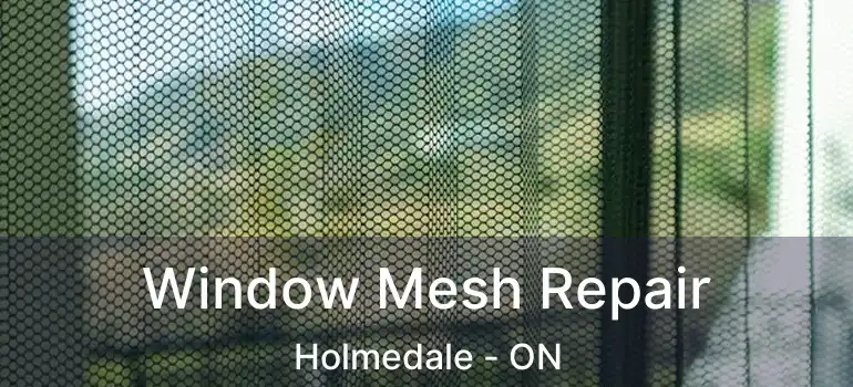  Window Mesh Repair Holmedale - ON