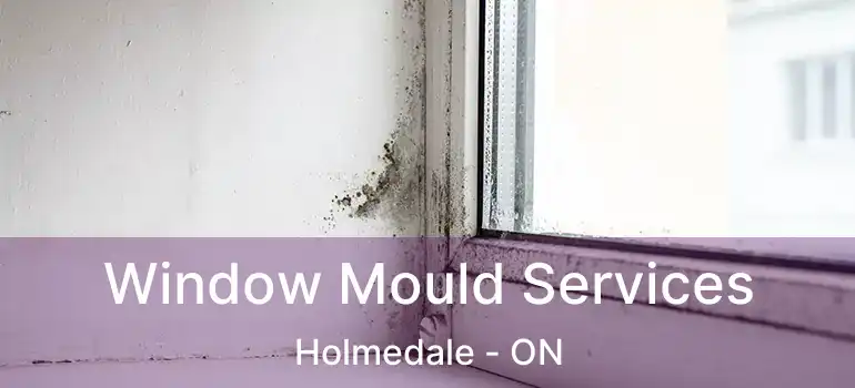  Window Mould Services Holmedale - ON