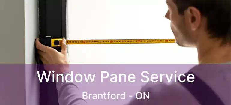  Window Pane Service Brantford - ON