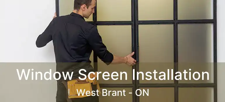  Window Screen Installation West Brant - ON