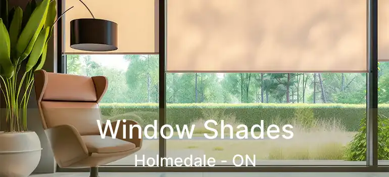  Window Shades Holmedale - ON