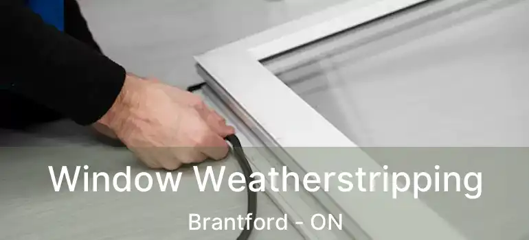  Window Weatherstripping Brantford - ON