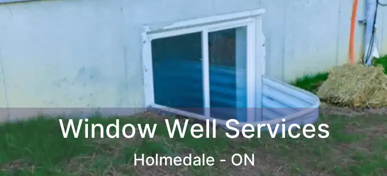  Window Well Services Holmedale - ON